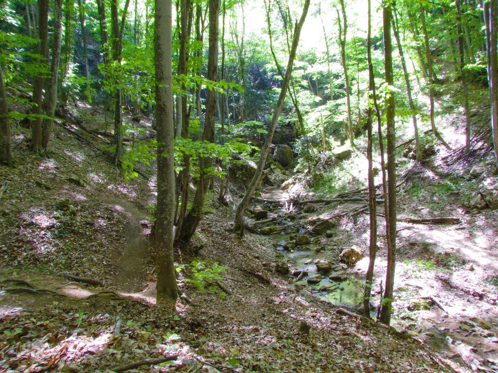 Багата Ущелина з panoramio.com - Bagata Uschelyna