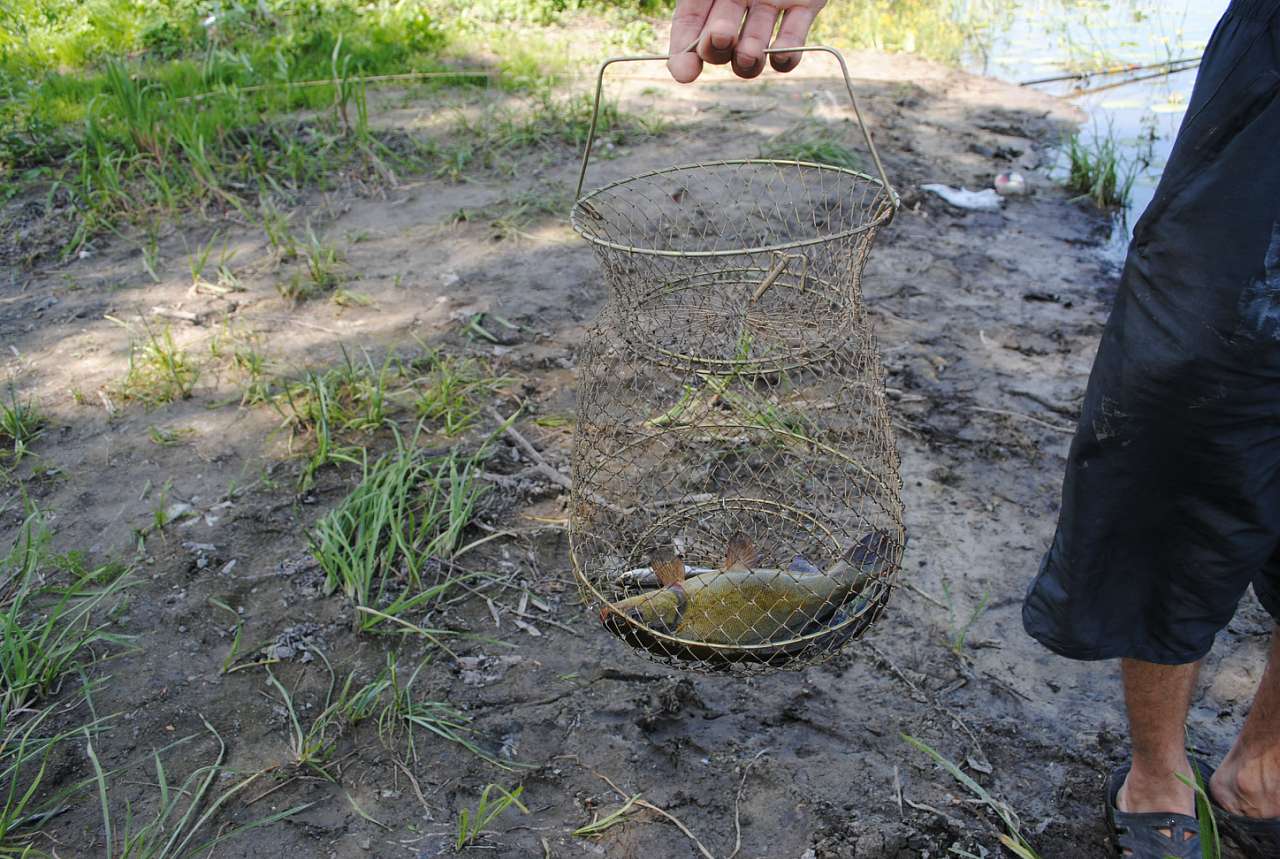 По Сулі - Матвеевка