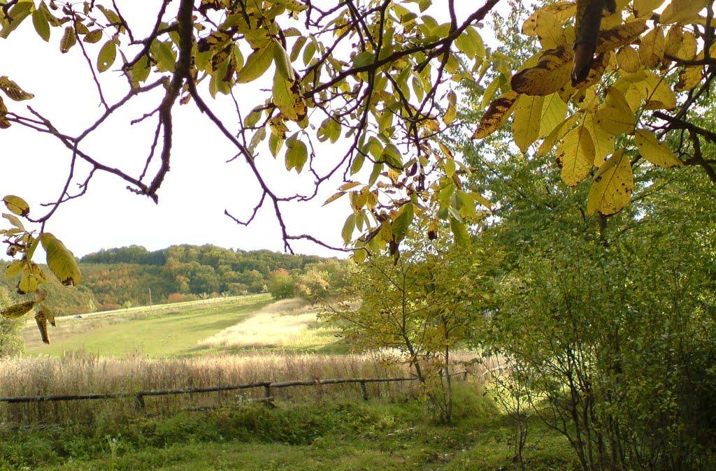 Дуляби з panoramio.com - Дулябы