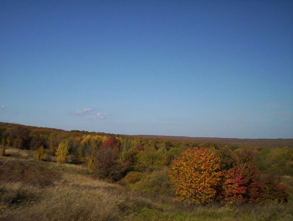 Нижні Синівці з panoramio.com - Нижние Синевцы