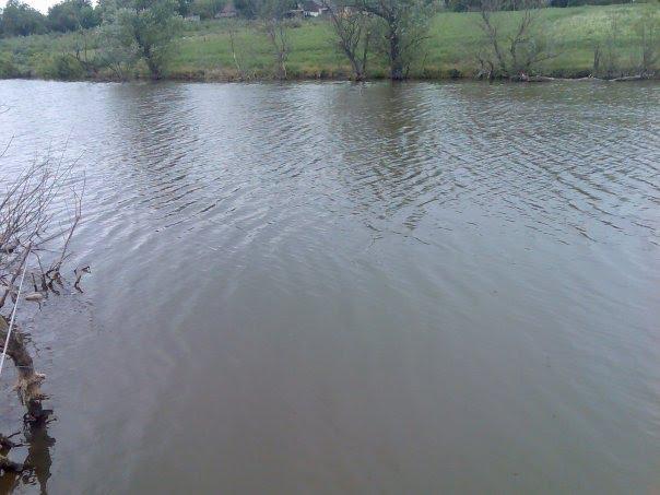 Перчунове з panoramio.com - Перчунове