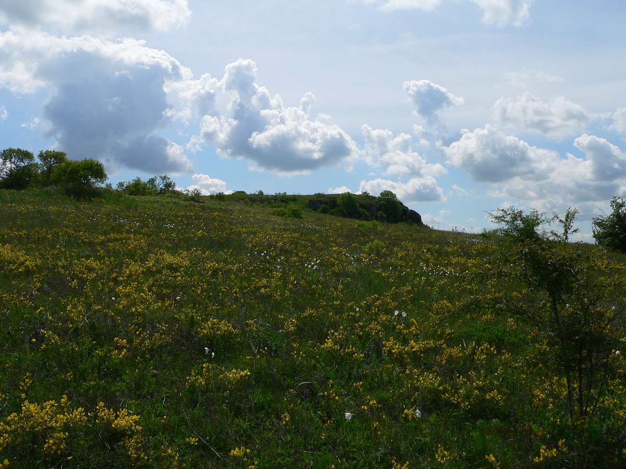 природа - Gorodnytsya