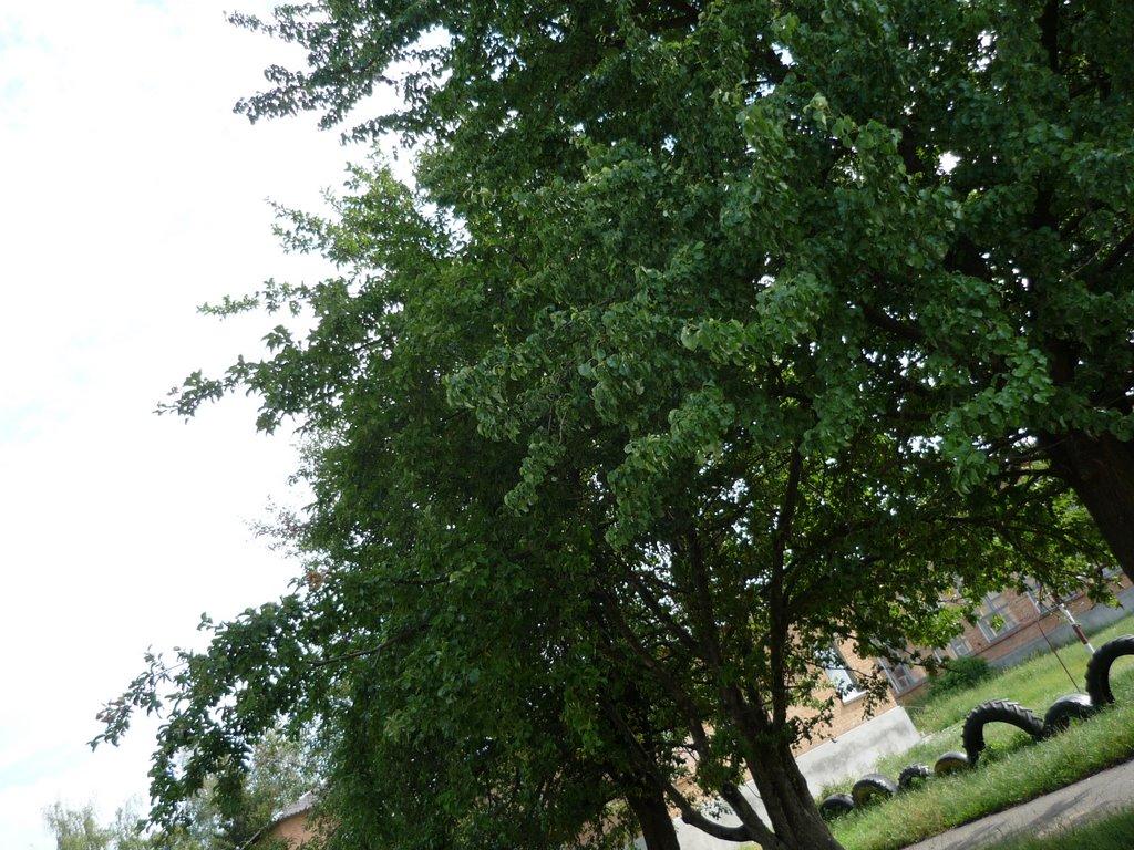 Дослідницьке з panoramio.com - Дослидницкое