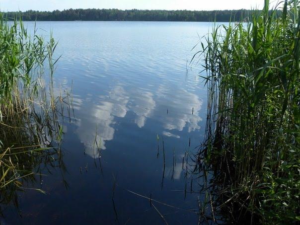Перешпа з panoramio.com - Перешпа
