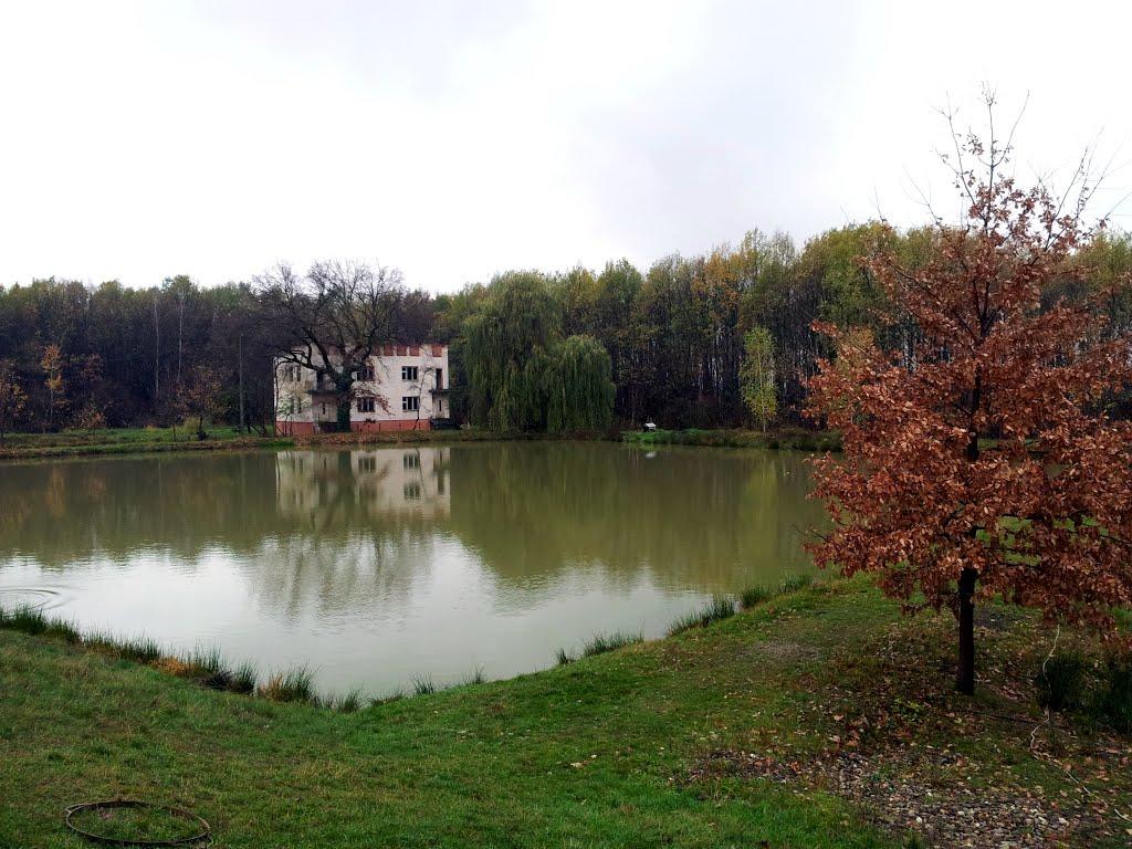 Гудя з panoramio.com - Гудя