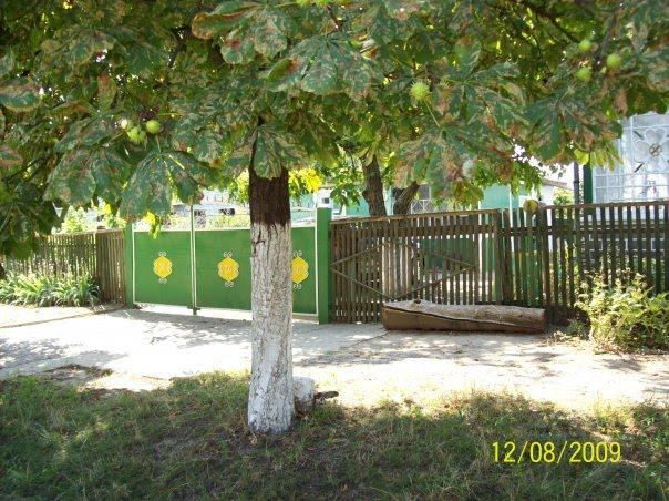 Удобне з panoramio.com - Удобное