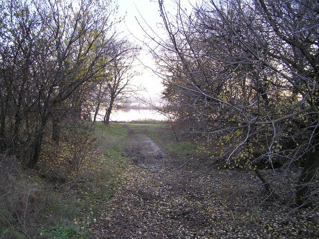 Орлівське з panoramio.com - Орловское