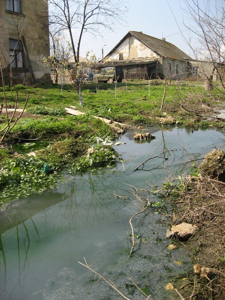Сарата з panoramio.com - Сарата