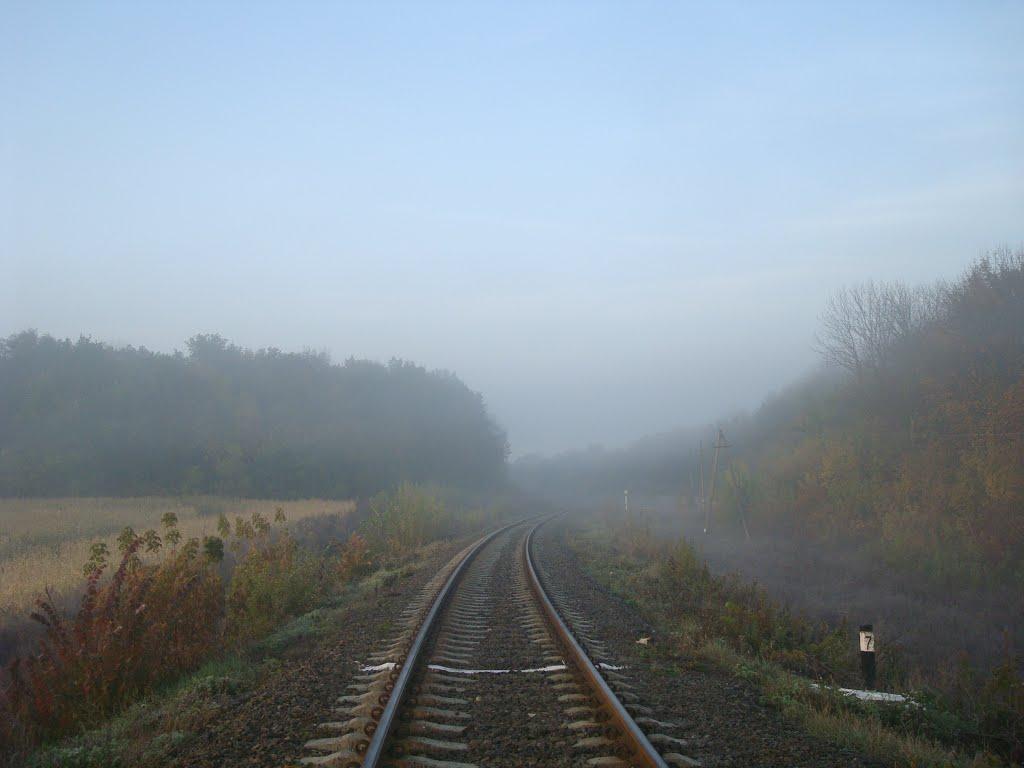 Городок з panoramio.com - Городок