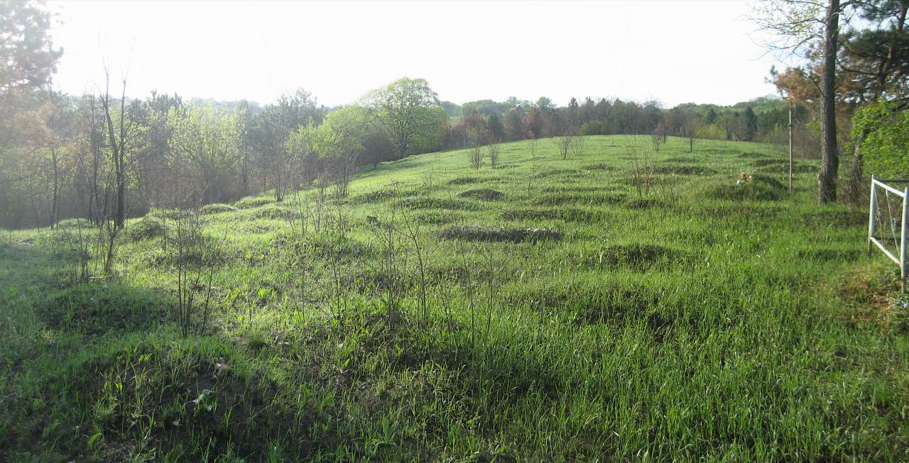 Северинівка - Severynivka