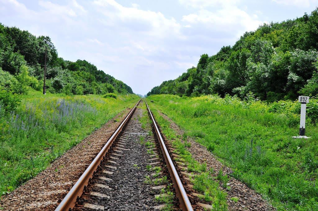 Половинкине з panoramio.com - Половинкине