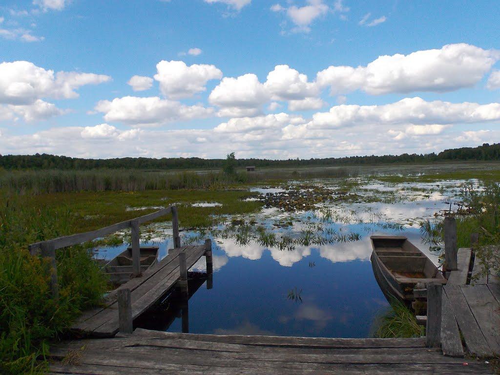 Скулин з panoramio.com - Скулин