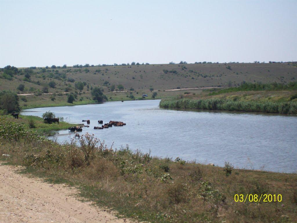 Євгенівка з panoramio.com - Евгеновка