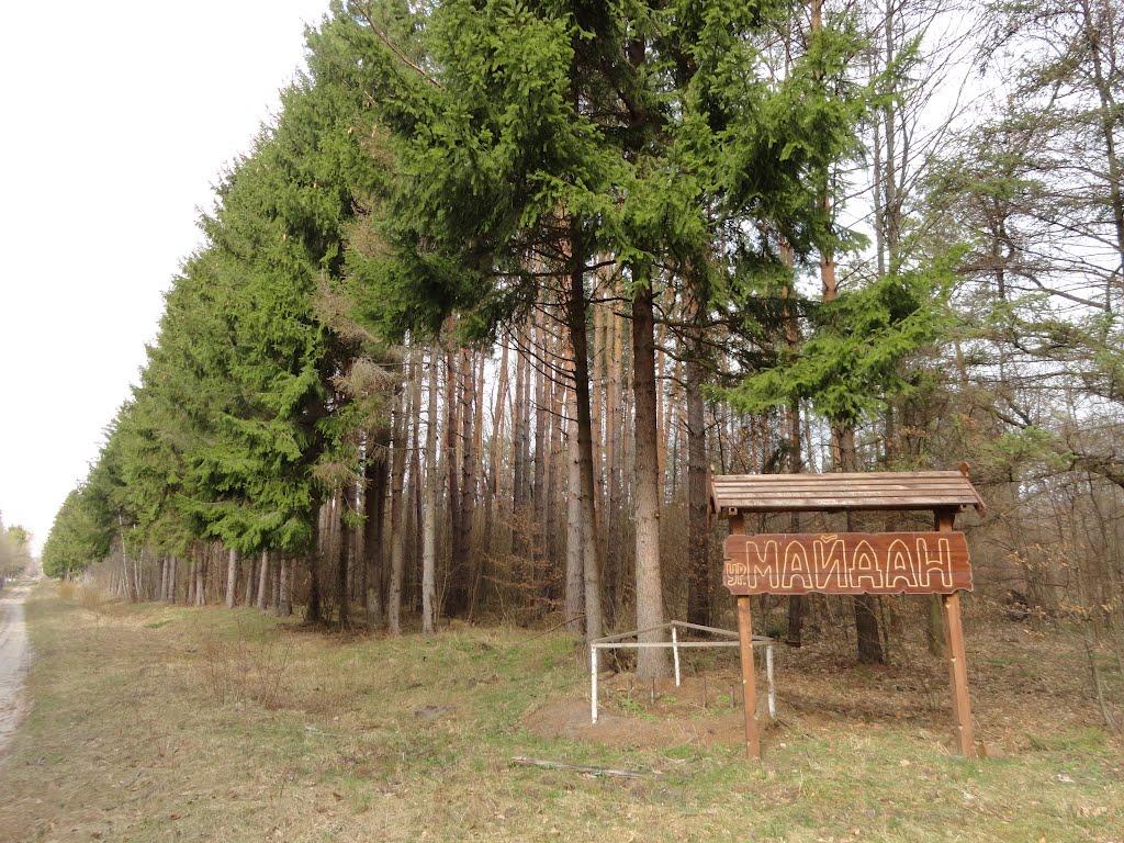 Котів з panoramio.com - Котів