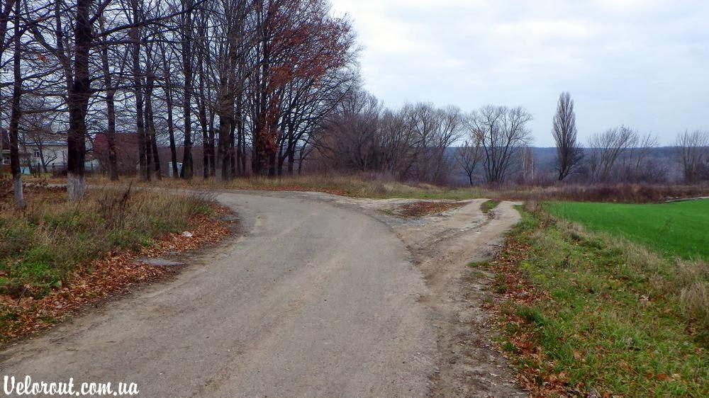 Тростинка з panoramio.com - Тростинка