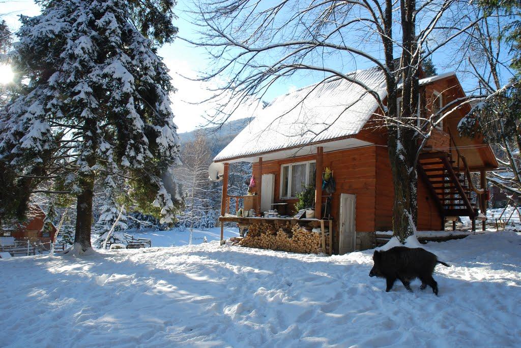 Родникова Гута з panoramio.com - Родникова Гута