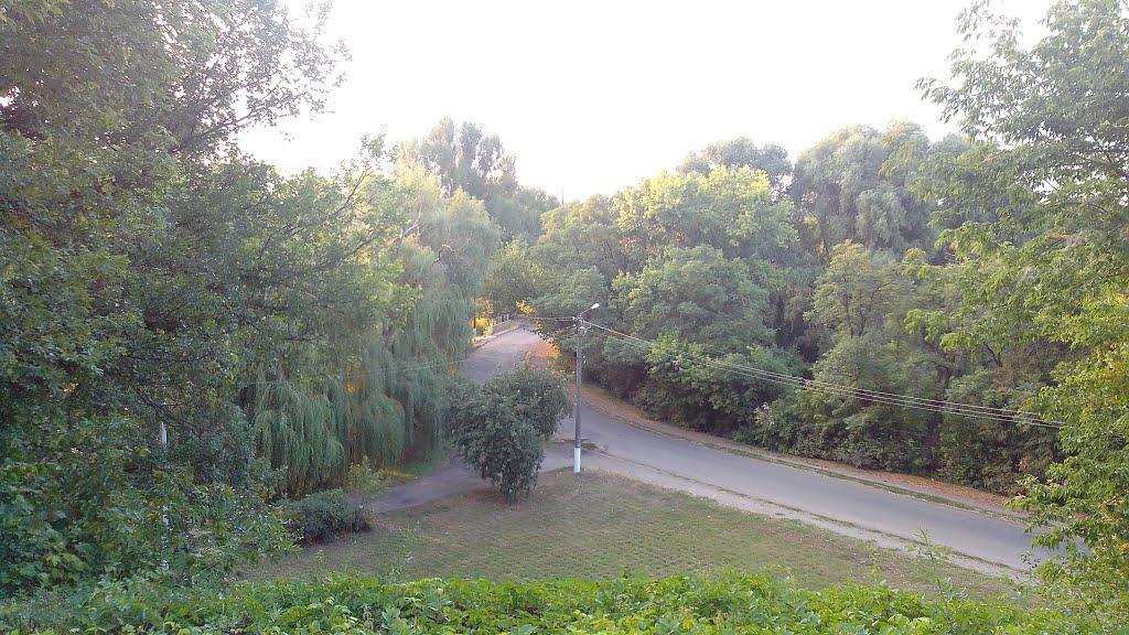 Вільшана з panoramio.com - Ольшана