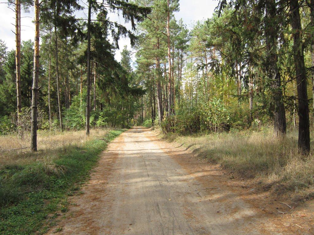 Маньківка з panoramio.com - Маньківка