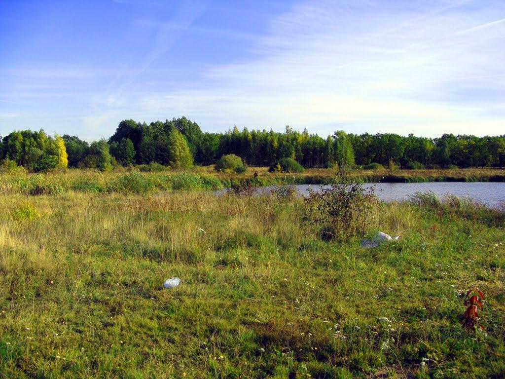 Козин з panoramio.com - Kozyn