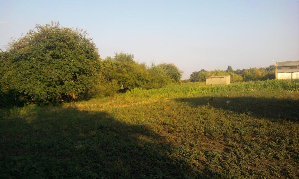 Филенкове з panoramio.com - Филенково