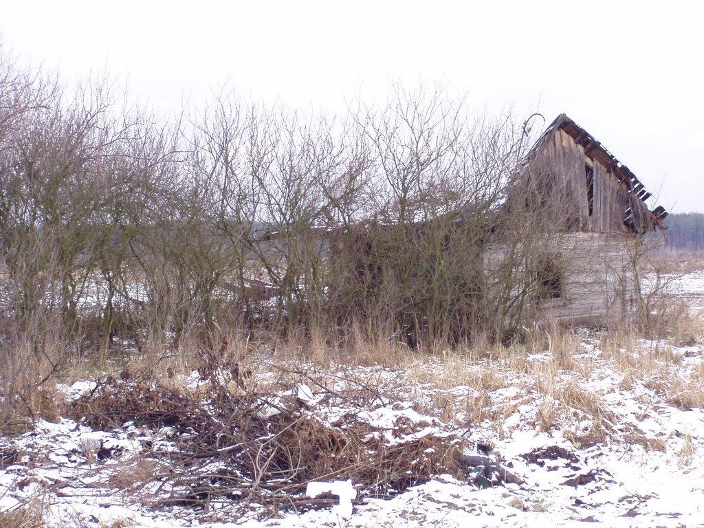 Новомирівка з panoramio.com - Новомирівка