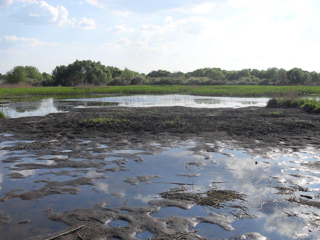 Мала Дівиця з panoramio.com - Мала Дівиця