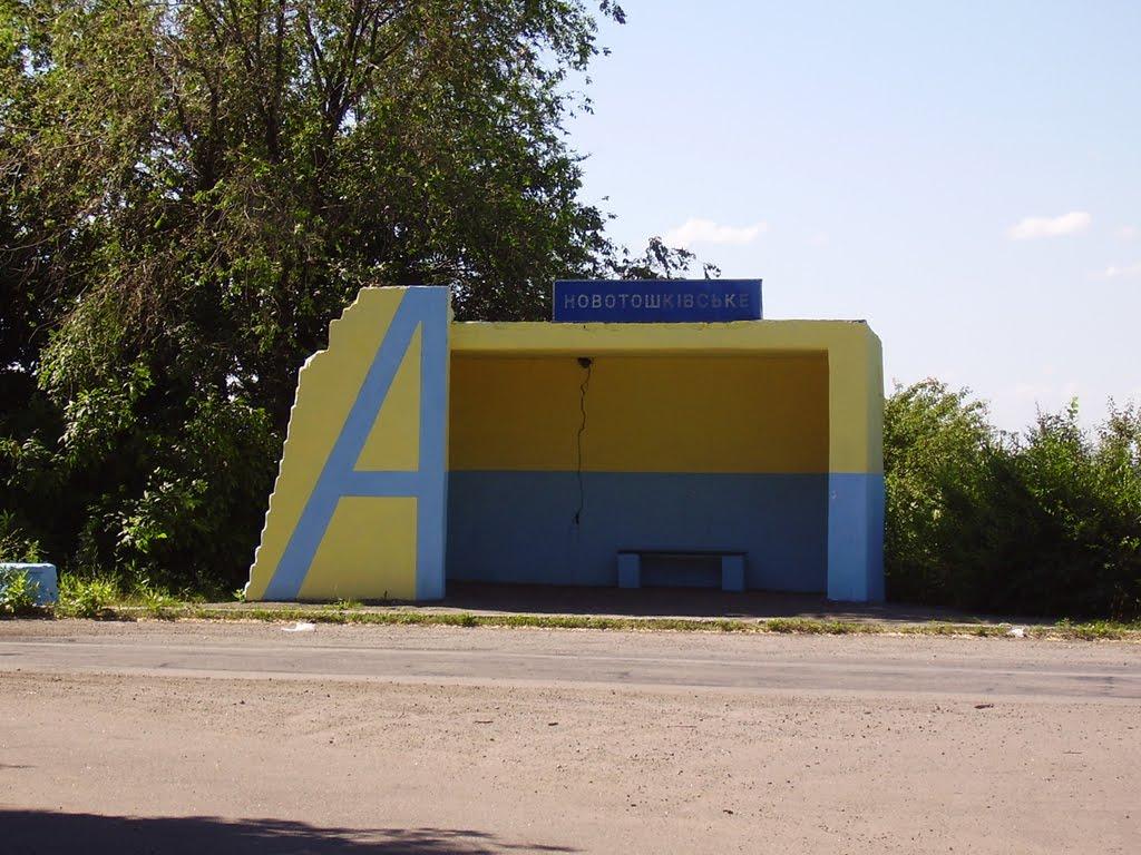 Новотошківське з panoramio.com - Новотошківське