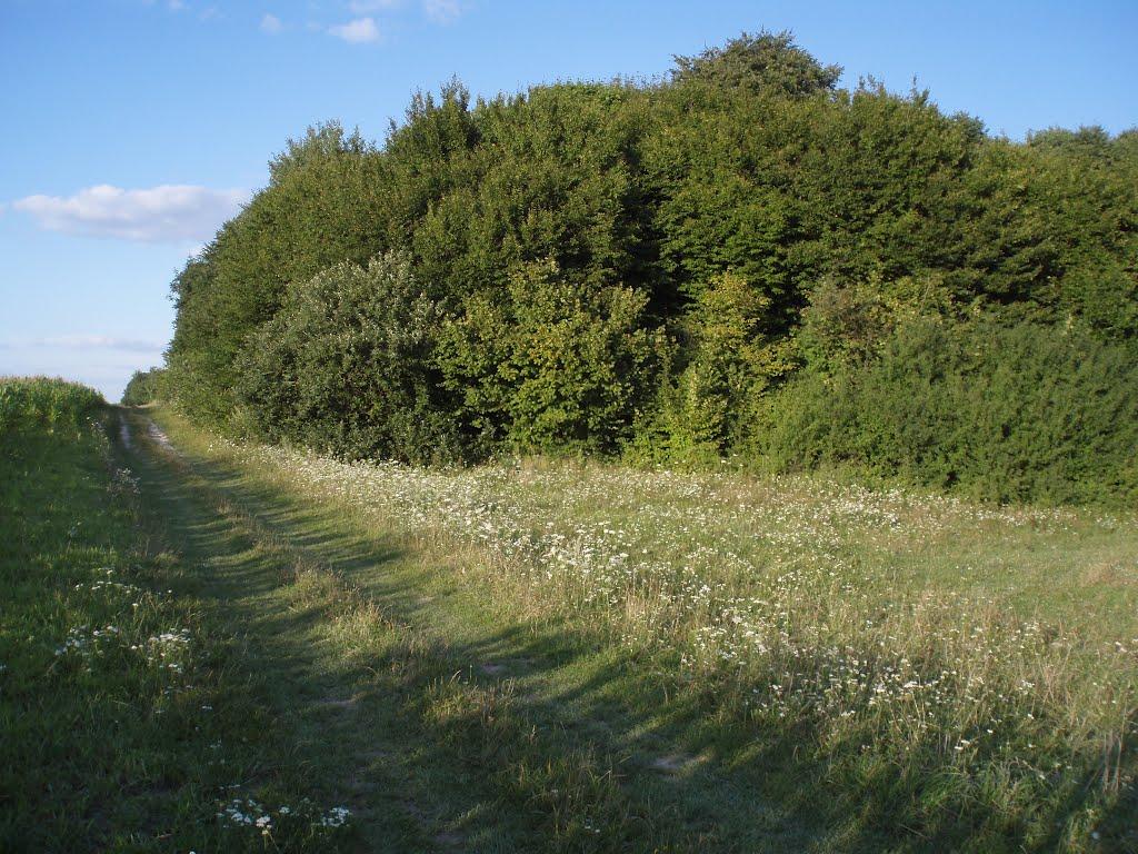 Спасів з panoramio.com - Спасів