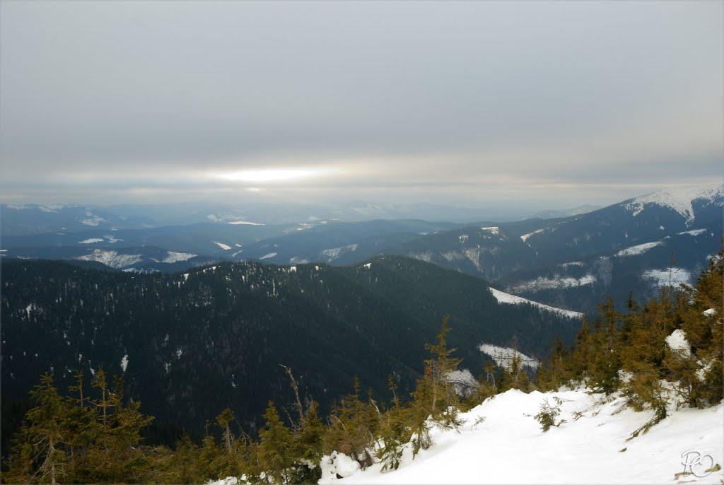 Осмолода з panoramio.com (ч.2) - Осмолода