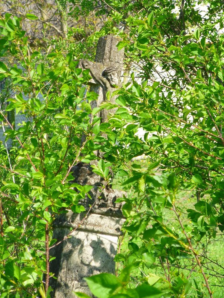 Кривичі з panoramio.com - Кривичі