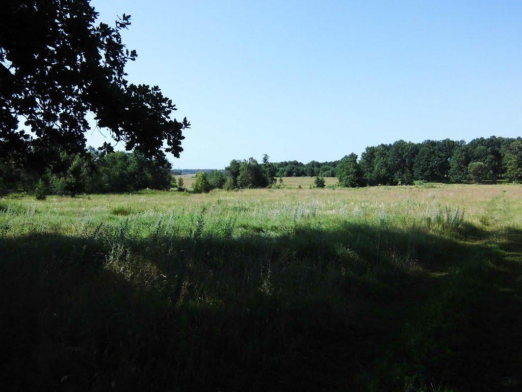 Ганнусине з panoramio.com - Аннусино