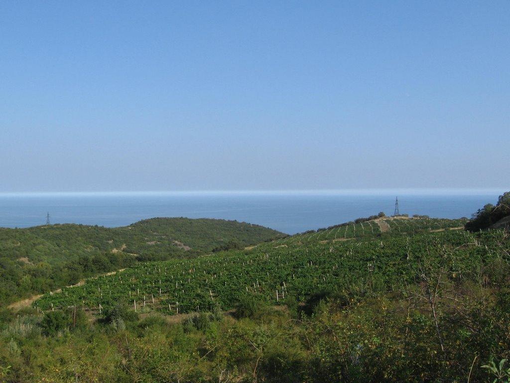 Семидвір'я з panoramio.com - Семидворье