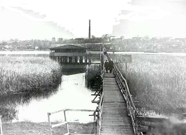 Погребище з інтернету - Погребище