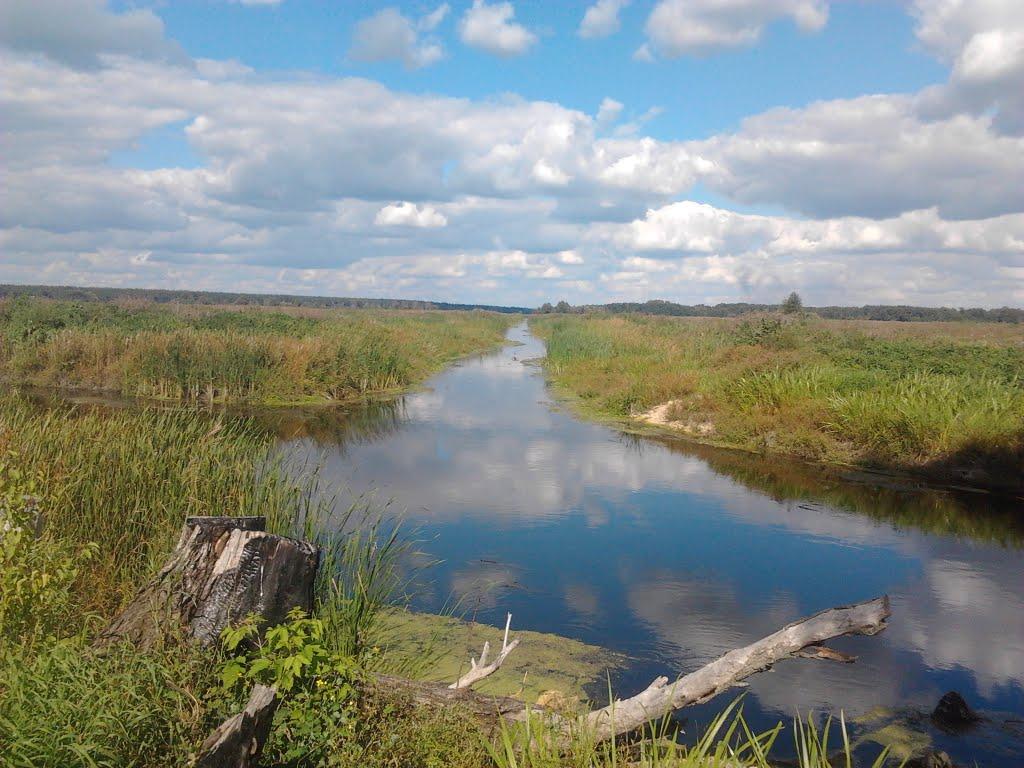 Заострів з panoramio.com - Заостров