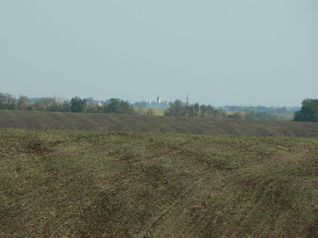Куйбишеве з panoramio.com - Kuybisheva