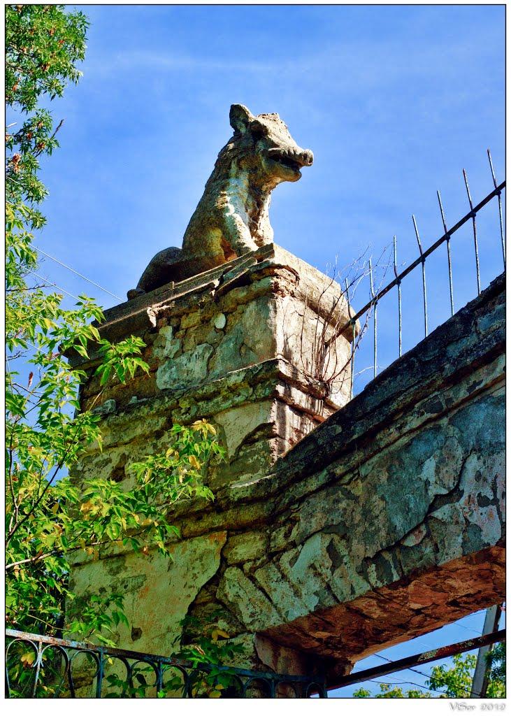 Заводівка з panoramio.com - Заводівка