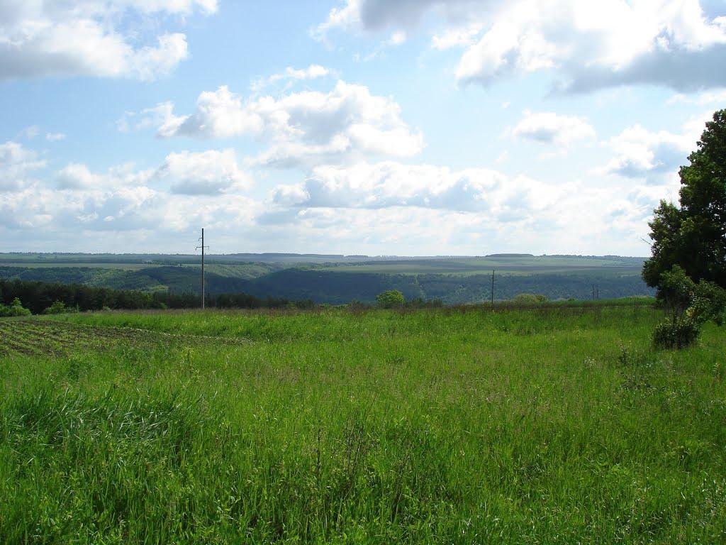 Велика Кужелева з panoramio.com - Велика Кужелева