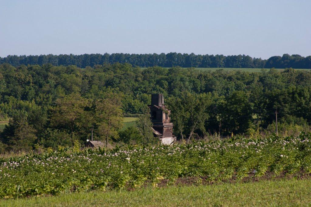 Розкопане з panoramio.com - Розкопане