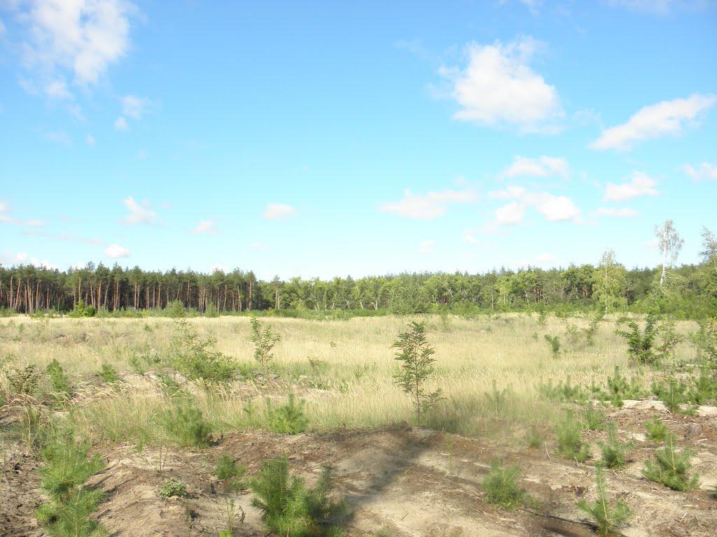 Нижні Яреськи з panoramio.com - Нижні Яреськи