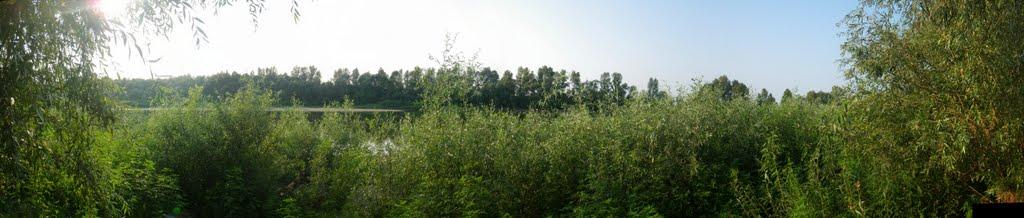 Вища Дубечня з panoramio.com - Высшая Дубечня