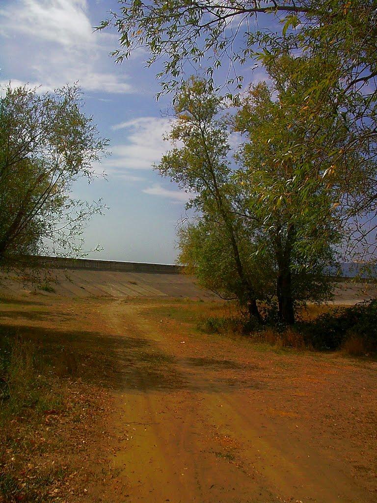 Тургенєвка з panoramio.com - Тургенєвка