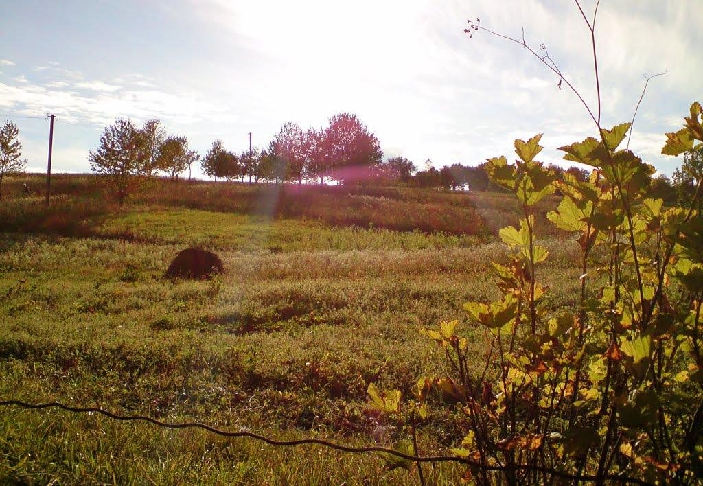 Дуляби з panoramio.com - Дулябы