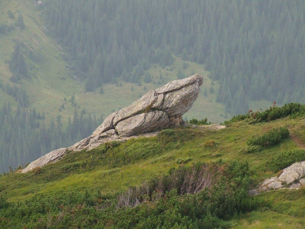 Берестечко з panoramio.com (ч.2) - Berestechko