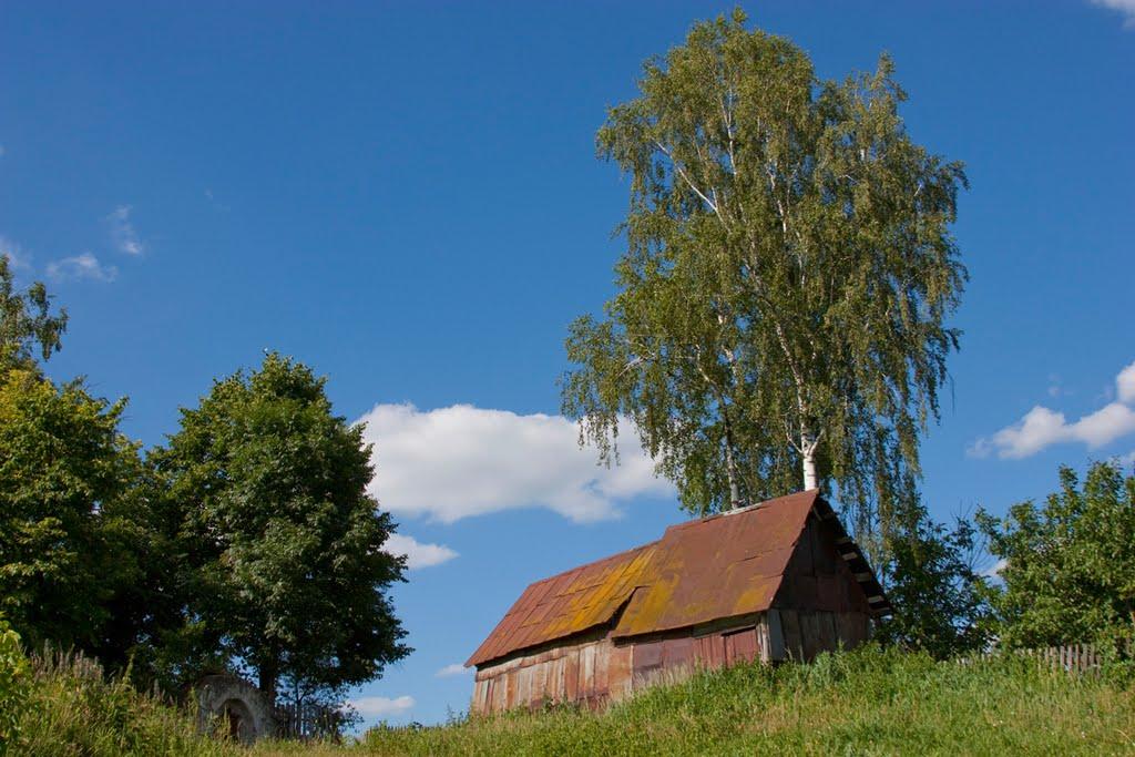 Розкопане з panoramio.com - Раскопанное