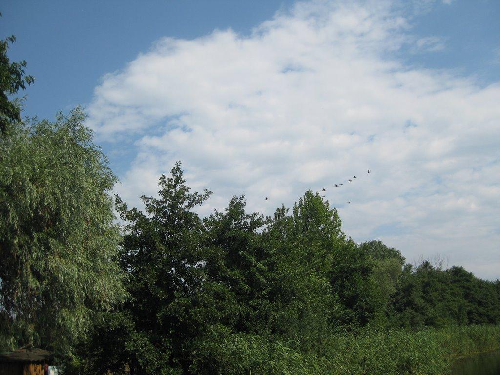 Кізомис з panoramio.com - Кізомис