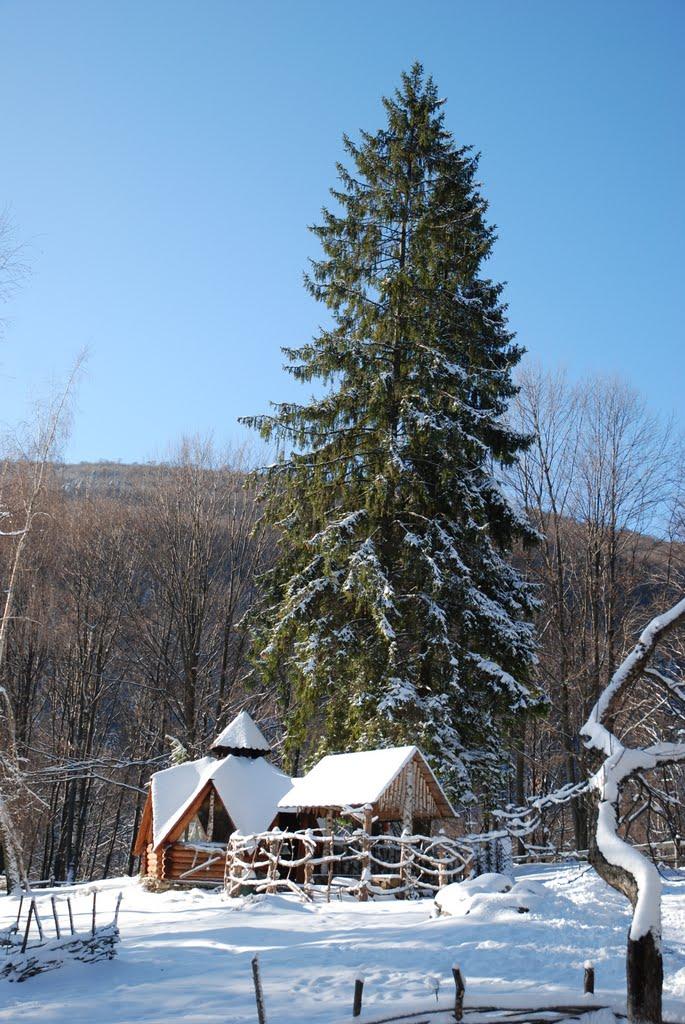 Родникова Гута з panoramio.com - Родникова Гута