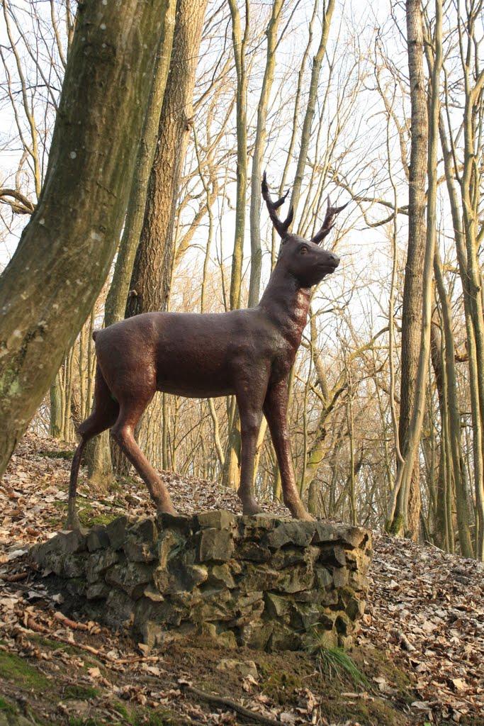 Верхівка з panoramio.com - Верховка