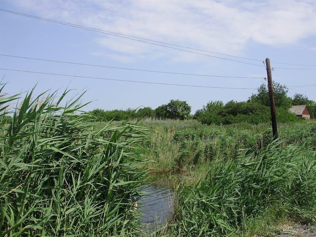 Темрюк з panoramio.com - Темрюк