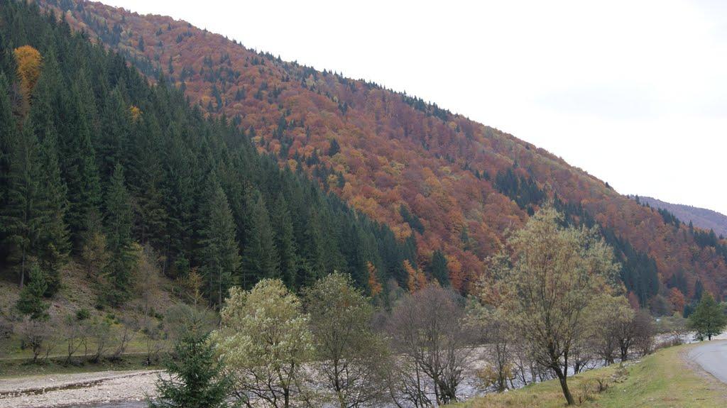 Противень з panoramio.com - Противень