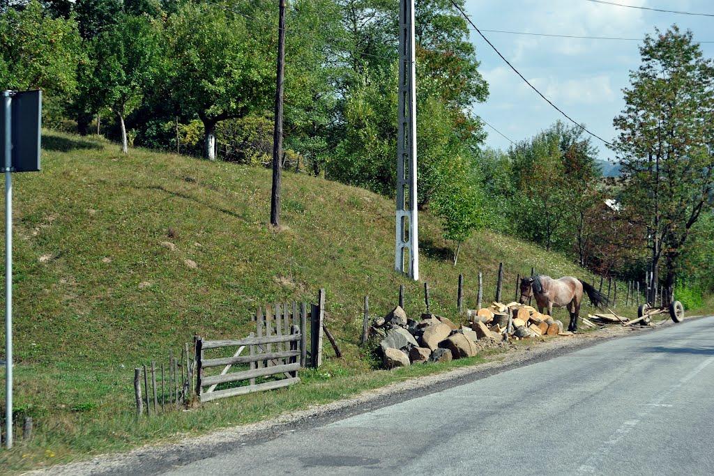 Хмелів з panoramio.com - Хмелів